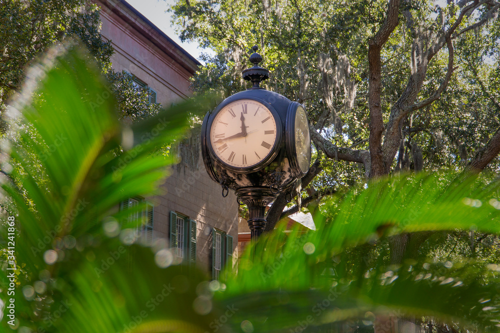 Fototapeta premium College of Charleston, the oldest municipal college in America, founded in 1770
