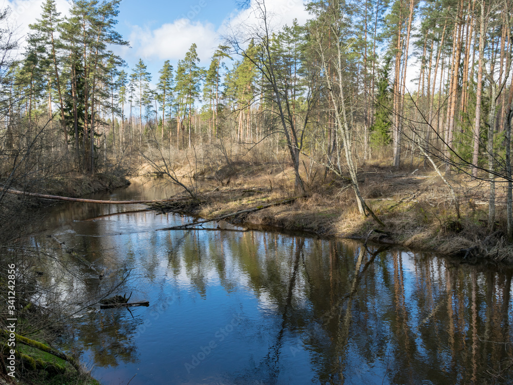 Obraz premium river view in early spring