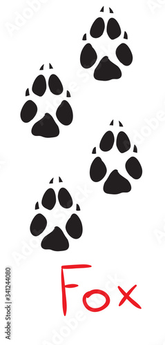 set of black fox footprints, icon, isolated object on white background, vector illustration,