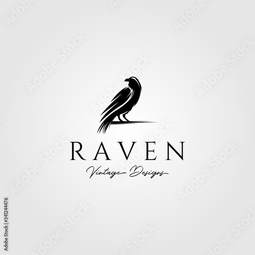 raven or crow bird logo vector illustration design