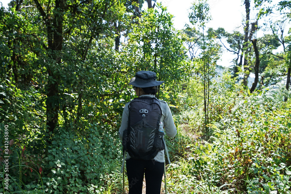 A girl trekking along natural trail pathway among green forest park A girl trekking along natural trail pathway among green forest park