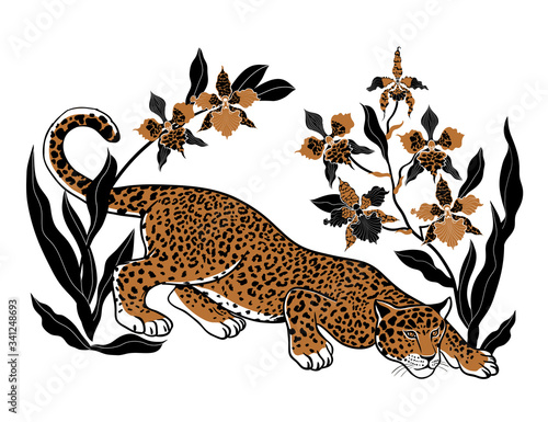 The stalking jaguar among the orchid flowers. Hand drawn vector illustration. Isolated drawing on white background.