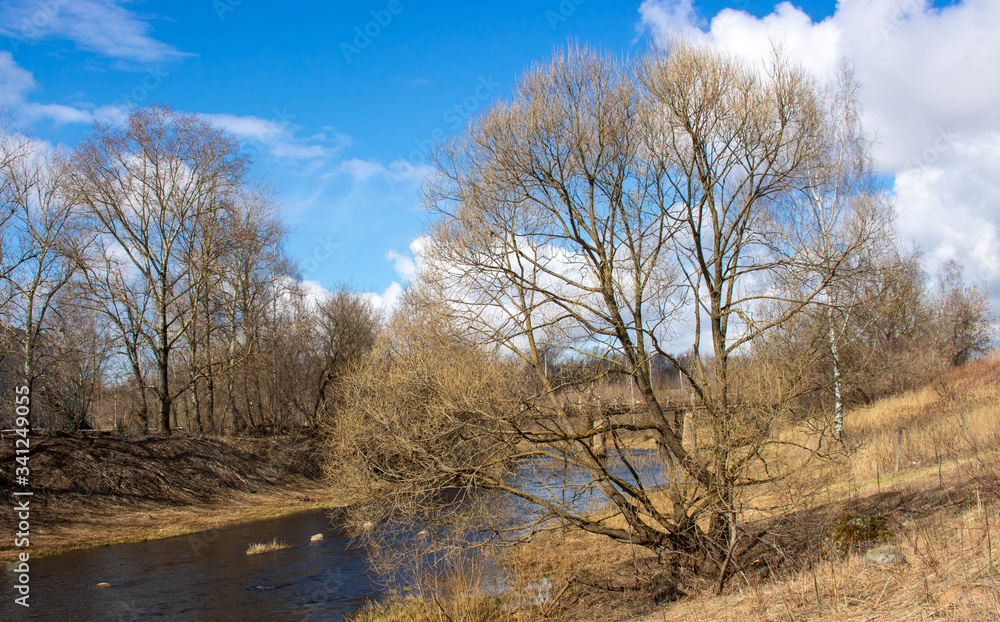 Beautiful blue sky with clouds and a large spreading tree over the river. Rural river in spring Beautiful blue sky with clouds and a large spreading tree over the river. Rural river in spring