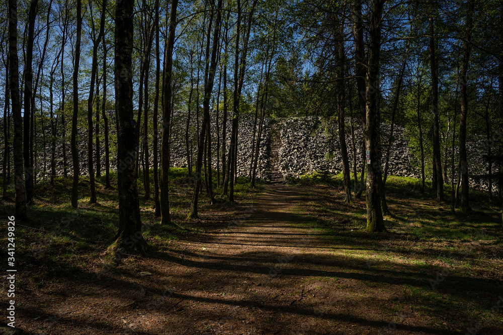 Keltenwall Otzenhausen am Dollberg Keltenwall Otzenhausen am Dollberg