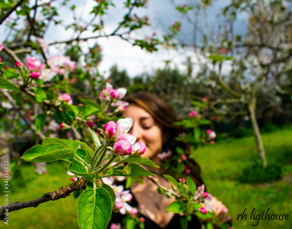 macro photo of white and peach pink cherry blossoms with girl in backgrouns macro photo of white and peach pink cherry blossoms with girl in backgrouns