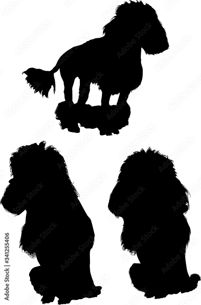 three poodle black silhouettes three poodle black silhouettes