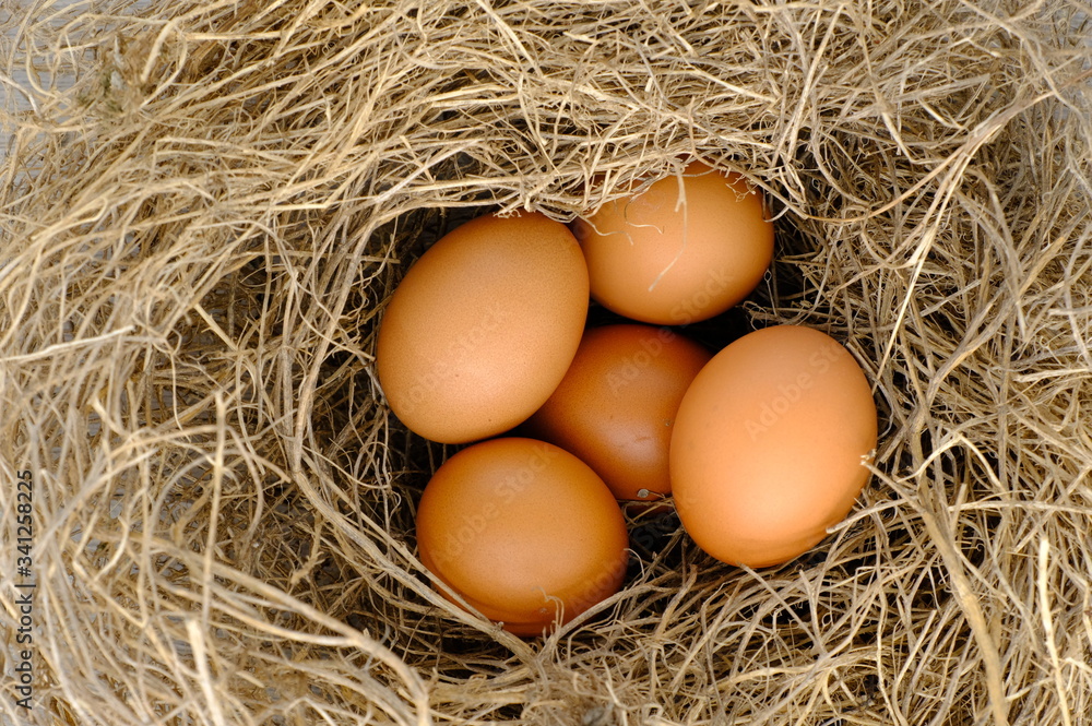 nest with raw chicken eggs on wooden background
nest with raw chicken eggs on wooden background