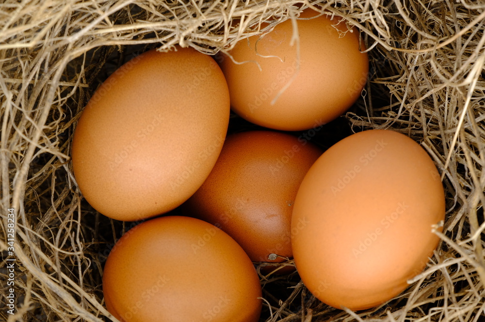 nest with raw chicken eggs on wooden background
nest with raw chicken eggs on wooden background