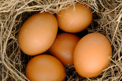 nest with raw chicken eggs on wooden background 