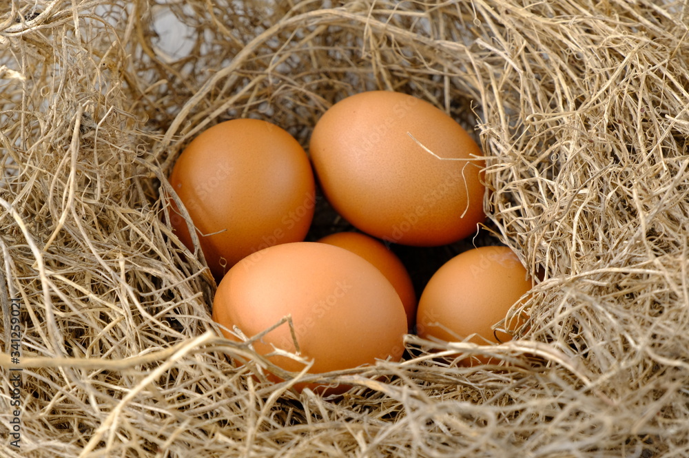 nest with raw chicken eggs on wooden background
