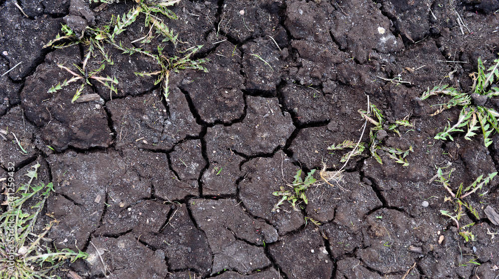 cracked black earth in the dry season cracked black earth in the dry season