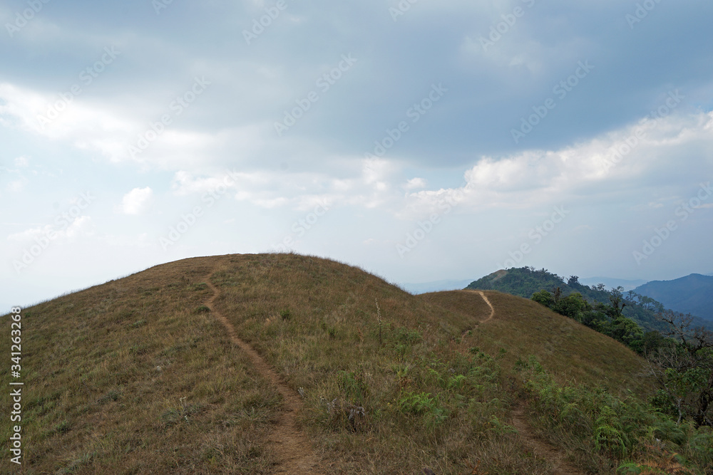 Natural landscape of grassy pathway to the mountain peak with cloudy blue sky