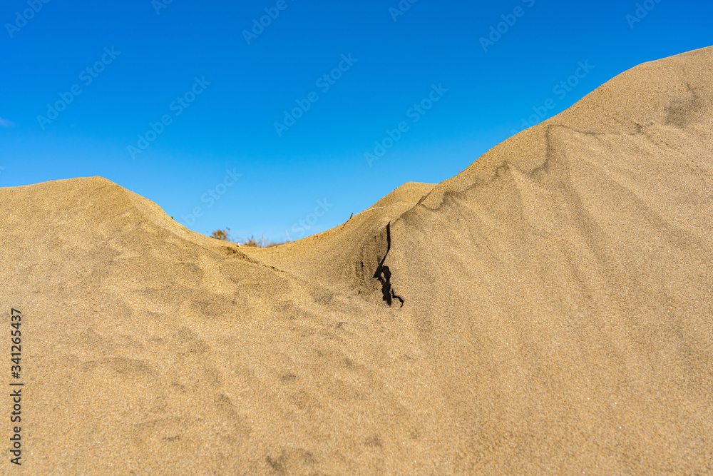 The upper edge of the sand dune in Maspalomas on the island of Gran Canaria in Spain The upper edge of the sand dune in Maspalomas on the island of Gran Canaria in Spain