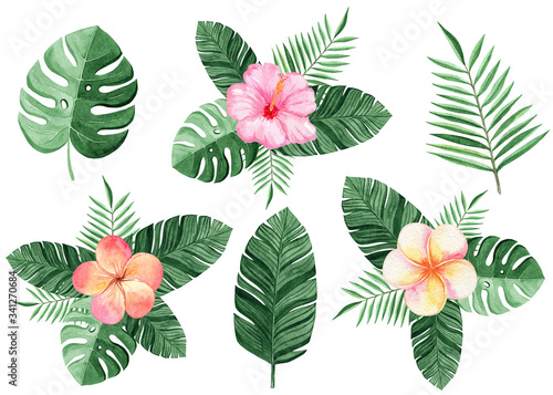 watercolor color tropical flowers and palm leaves compositions set on white background