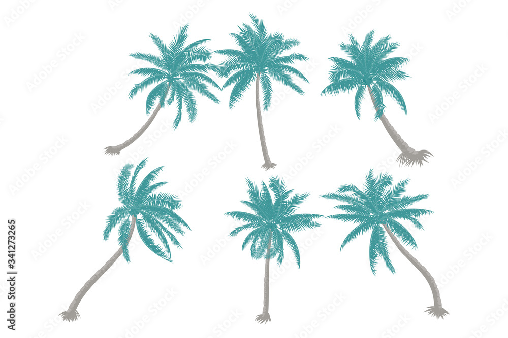 palm tree vector graphic collection for any business