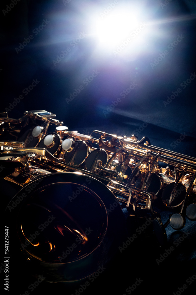 Obraz premium アルトサックス