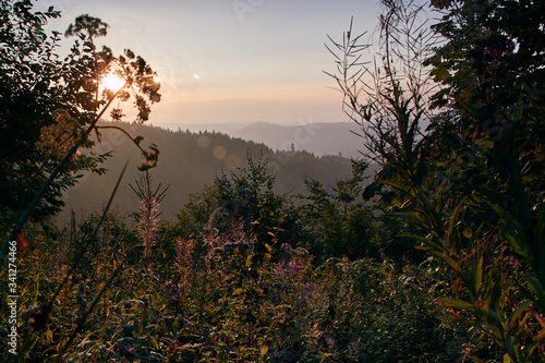 Wunderschöner Ausblick auf den Schwarzwald bei Sonnenaufgang; Baden-Württemberg, Deutschland