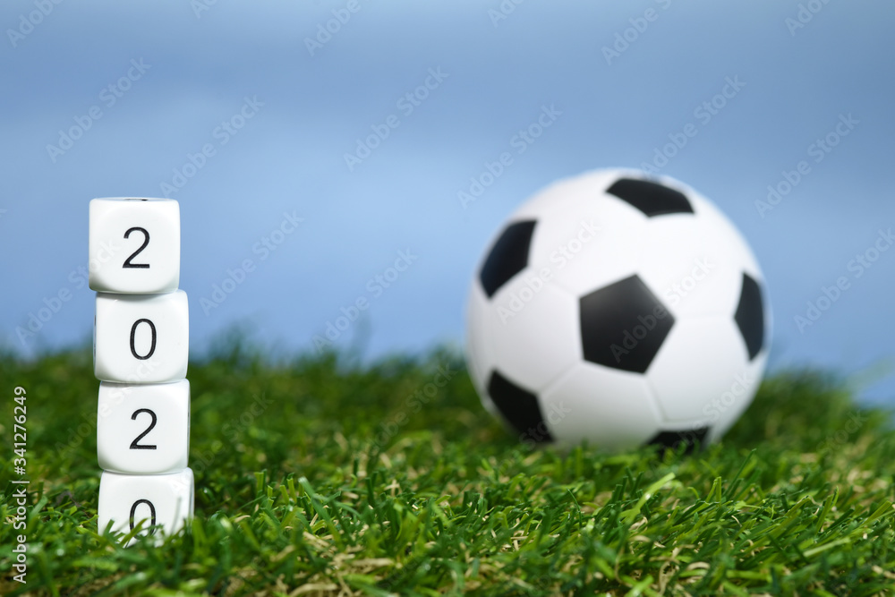 Obraz premium environnement planète vert terre climat 2020 sport football