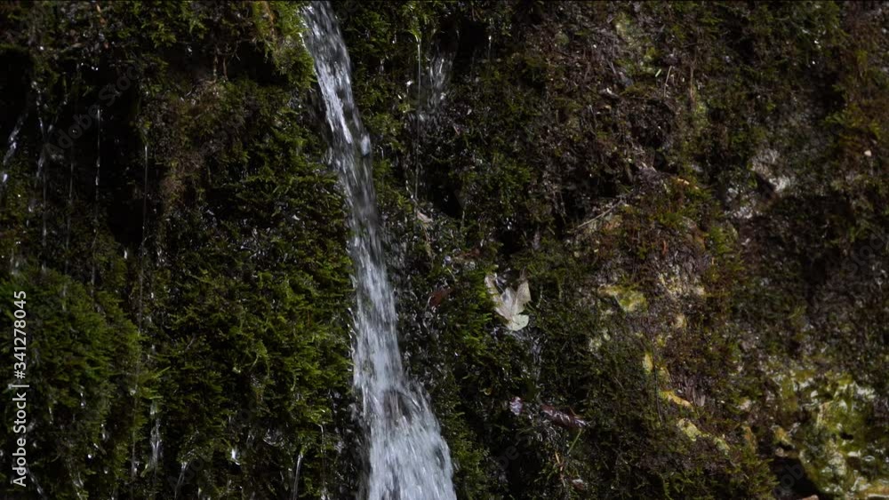 Water leaking from the rock. The sound of water leaking. Water leaking from the rock. The sound of water leaking.