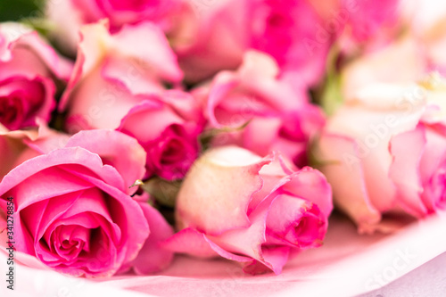 Fototapeta Naklejka Na Ścianę i Meble -  Pink roses