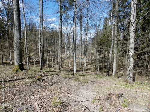 Fototapeta Naklejka Na Ścianę i Meble -  KODAK Digital Still Camera