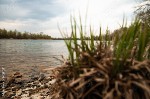 Beautiful landscape on the lake. Glare on the surface of the water. The bright rays of the sun. Landscape of the lake with stones and reeds on the shore