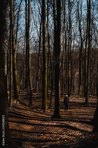 Wanderer in the forest a dunny day photo