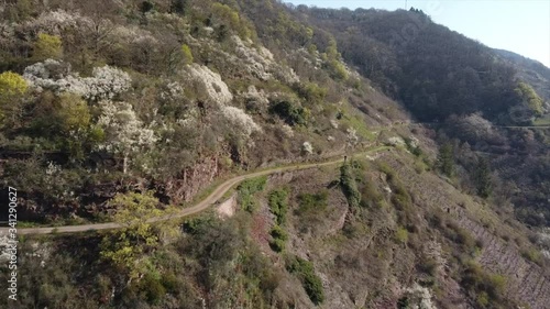 Moseltal bei Valwig,  Apolloweg im Frühling, Weinbau und Brachen photo