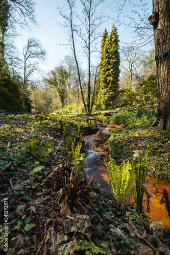 Foto eines Bachs im Rombergpark Dortmund. Aufgenommen als Langzeitbelichtung