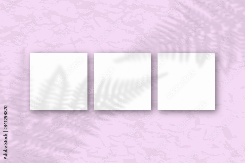 3 square sheets of white textured paper on the pink wall background. Mockup with an overlay of plant shadows. Natural light casts shadows from the fern leaves. Flat lay, top view 3 square sheets of white textured paper on the pink wall background. Mockup with an overlay of plant shadows. Natural light casts shadows from the fern leaves. Flat lay, top view