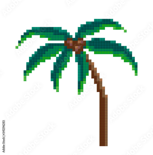 pixel palm, pixel art. vector illustration