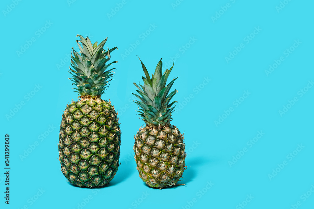 Two pineapples isolated on a blue background. Two pineapples isolated on a blue background.