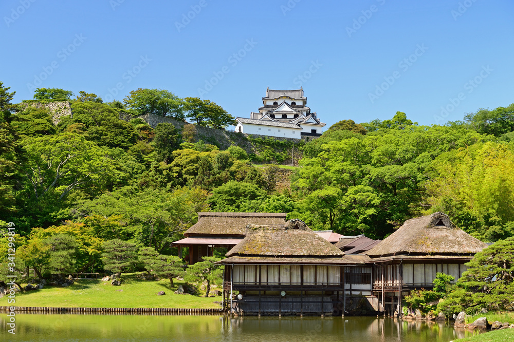Fototapeta premium 玄宮園と彦根城天守 滋賀県彦根市