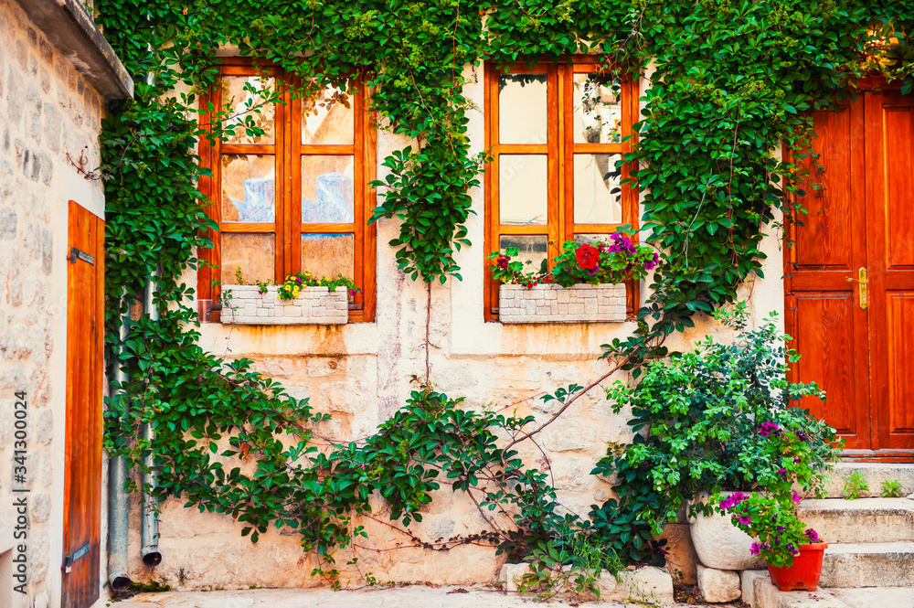 Fasade of the old stone house with green decorative plants. Beautiful architecture in Kotor, Montenegro