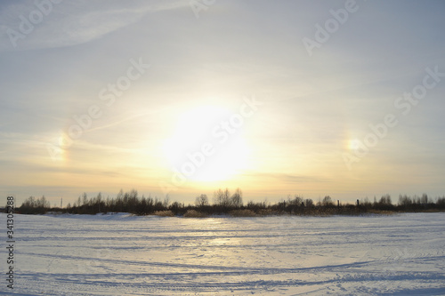 Winter landscape with halo against a bright blue sky, grove and snowy field © Helena