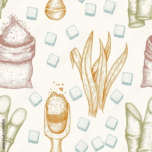 Seamless pattern of sugarcane: cane sugar and sugarcane. Vector hand drawn engraved set illustration.