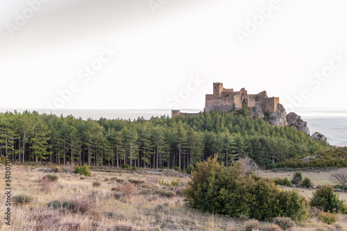 VIEW OF THE CASTLE OF LOARRE IN HUESCA SPAIN