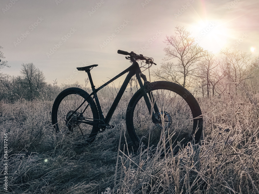 Mountain bike on the frozen morning trail
