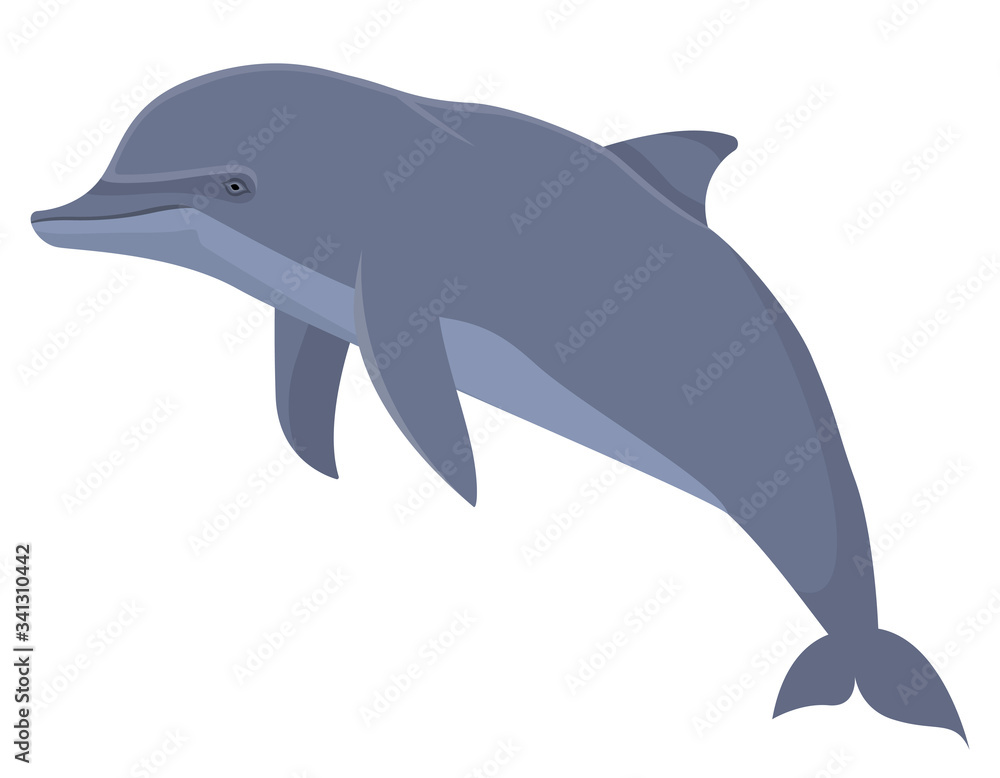 Fototapeta premium Dolphin in cartoon style. Sea animal isolated on white background.