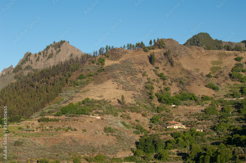 Rural landscape. Camaretas. Las Cumbres Protected Landscape. San Mateo. Gran Canaria. Canary Islands. Spain. Rural landscape. Camaretas. Las Cumbres Protected Landscape. San Mateo. Gran Canaria. Canary Islands. Spain.