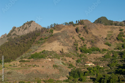 Rural landscape. Camaretas. Las Cumbres Protected Landscape. San Mateo. Gran Canaria. Canary Islands. Spain.