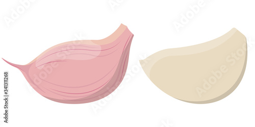 Cloves of garlic. Healthy food in cartoon style.