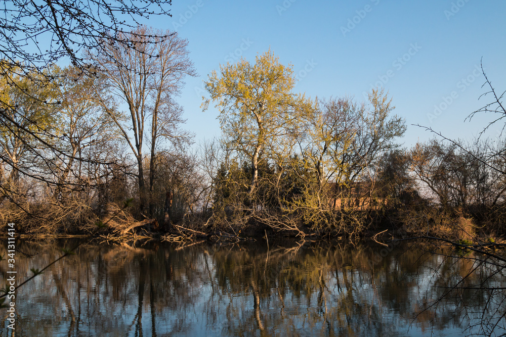 Little Danube and a forest, Malinovo Little Danube and a forest, Malinovo