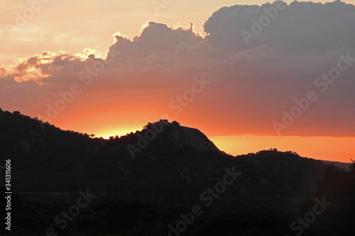 Sunset on a game reserve.