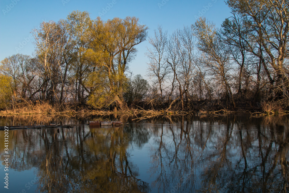 Little Danube and a forest, Malinovo Little Danube and a forest, Malinovo