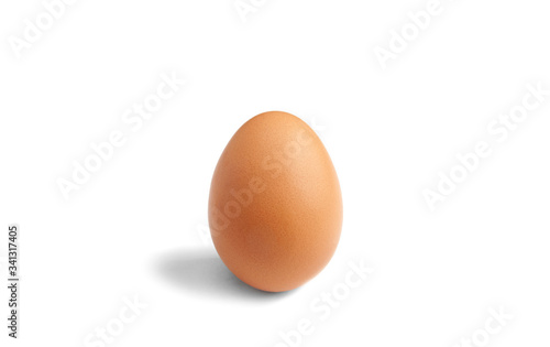One brown chicken egg on a white background. isolated