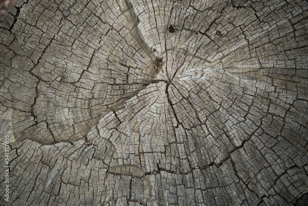 old wood texture, wood patterns