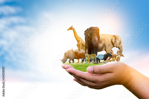 Canvas Print Wildlife Conservation Day Wild animals to the home