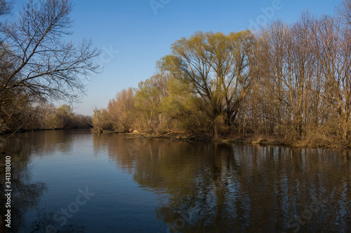 Fototapeta Naklejka Na Ścianę i Meble -  Little Danube river and trees, Slovakia