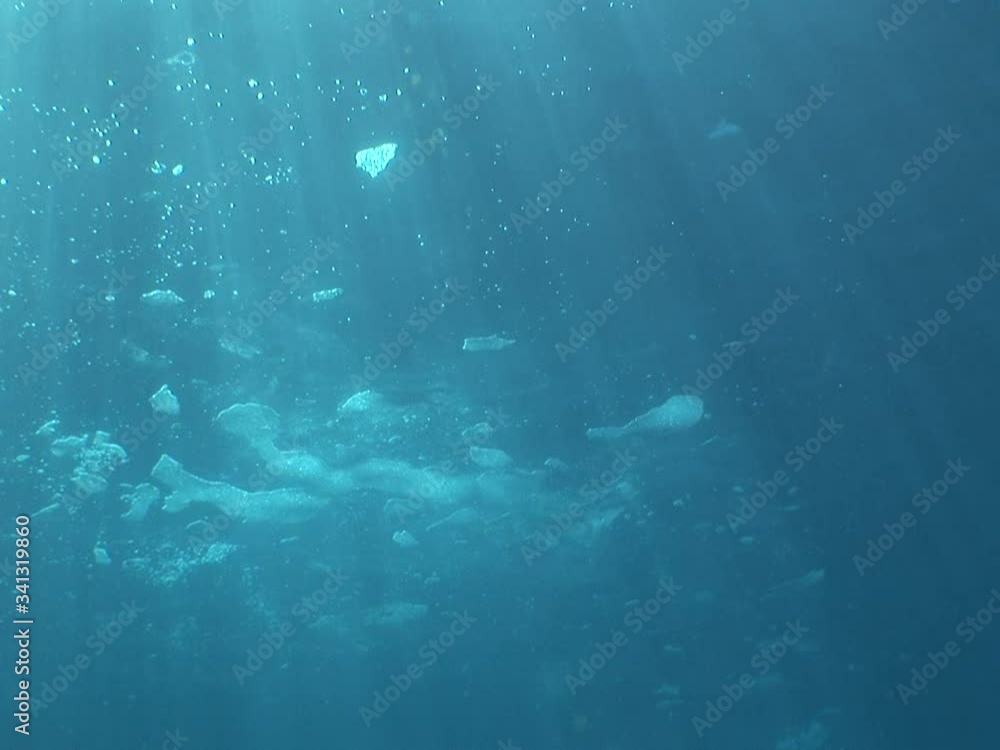 foam on the sea surface underwater pollution ocean scenery foam on the sea surface underwater pollution ocean scenery